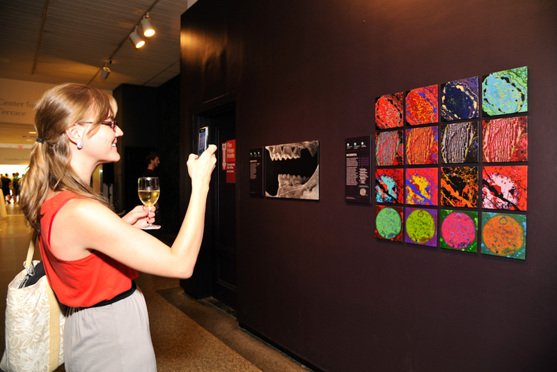 Illustration for article titled AMNH Tweetup Gallery